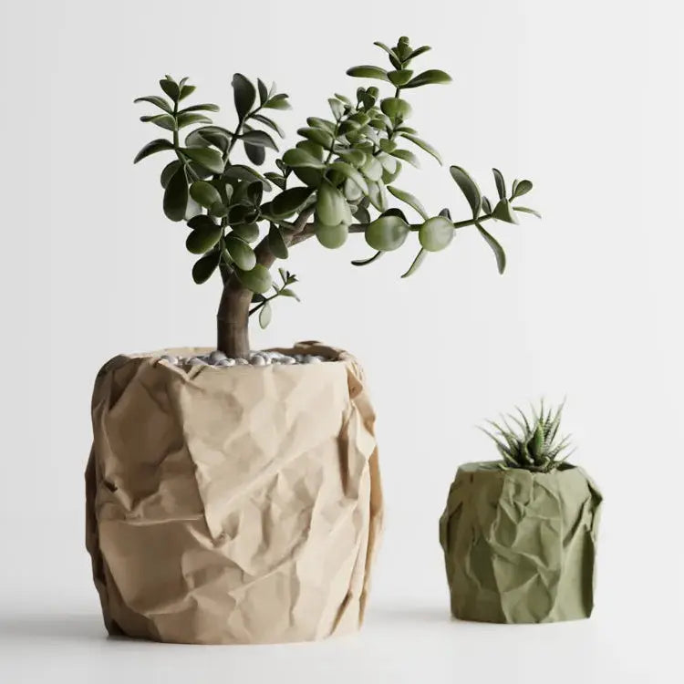 The Kraft | Cache-pot